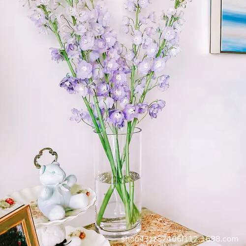 新款直销富贵竹透明援助直筒水培花器精品 龙竹花瓶鱼缸竖款圆筒