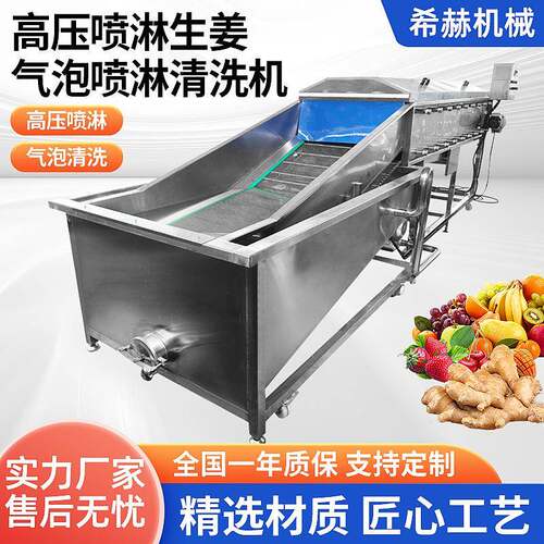 多功能自动洗菜机生姜清洗机水果蔬菜清洗设备大型商用气泡清洗机