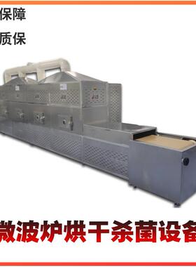 枣片微波烘干设备全自动大枣杀虫卵设备红枣干燥设备