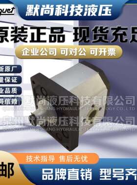 西班牙ROQUET齿轮泵1PLA36/45/54/66DB01 1PLD36-27DE10R液压油泵