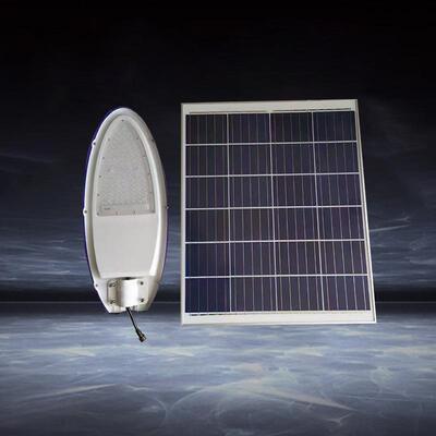 30Wled小金豆路灯灯头12V/220V市电/太阳能LED户外道厂家