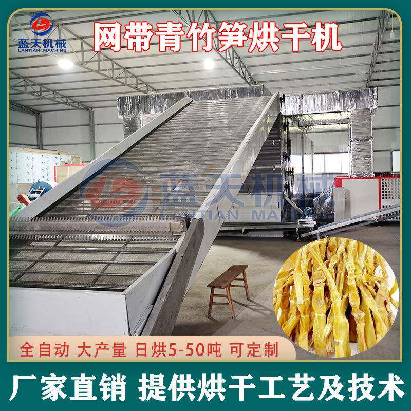 网带式青竹笋烘干机笋尖竹萌春笋生笋烘干设备竹笋干干货全自动