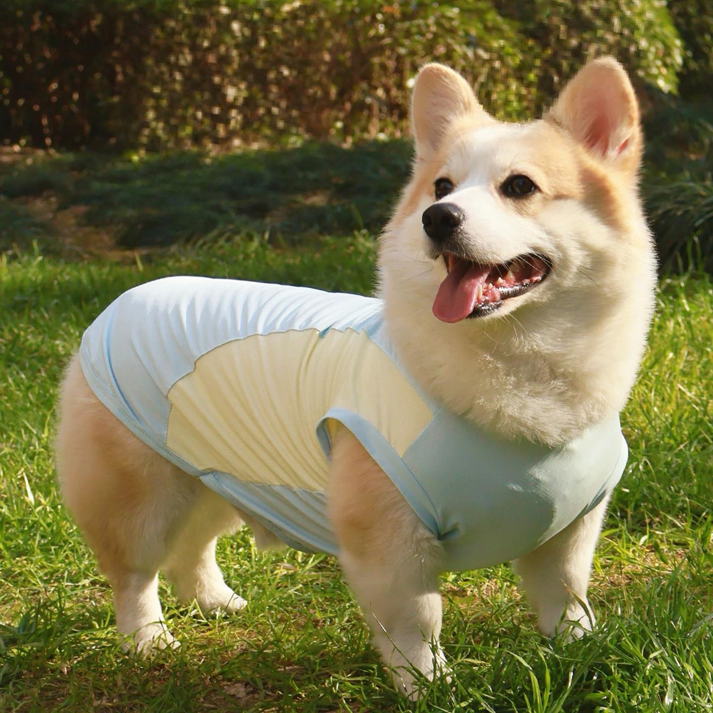 柴犬柯基泰迪狗狗衣服薄款春夏凉凉衣宠物背心防掉毛防晒防脏马甲