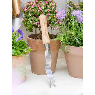 Berry森Bid园艺林家&用小园艺工具起草器除草移苗户外挖野r菜 正品