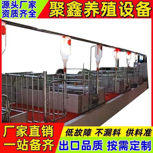 料线料塔自动化养猪场热镀锌养猪配套育肥场设备全自动喂料养殖场