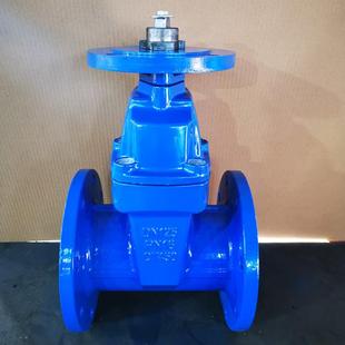 国标软密封电动托盘暗杆闸阀水利管道弹性座封开关型阀门Z945X