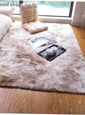 Plush Carpets For Living Room Soft Fluffy Rug Home Decor