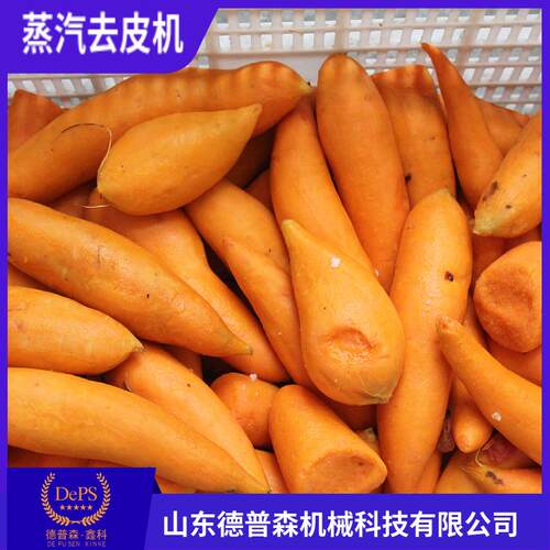 全自动果蔬蒸汽去皮设备物理去皮红薯柿子芋头脱皮机