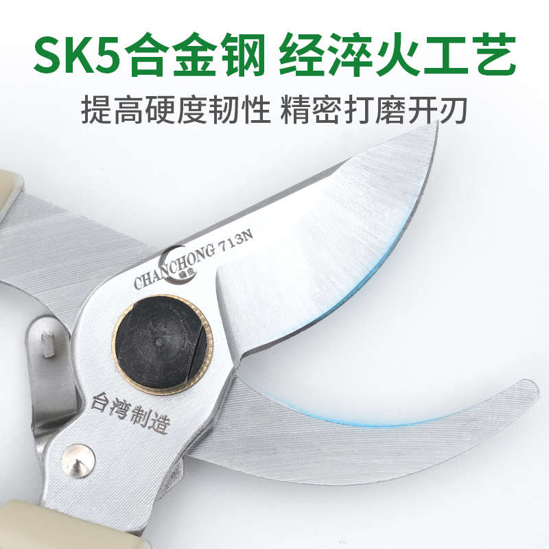 蟾虫713N园艺进口修枝剪树枝剪刀果树修枝园林剪刀专用剪盆景剪刀