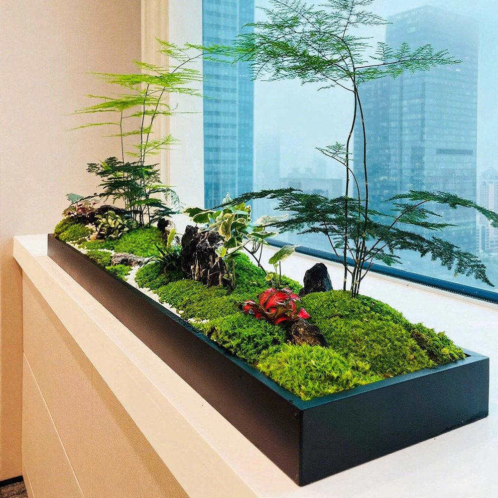 定制镀锌板微景观花槽托盘桌面造景接水盘长方形多肉花盆铁艺底座