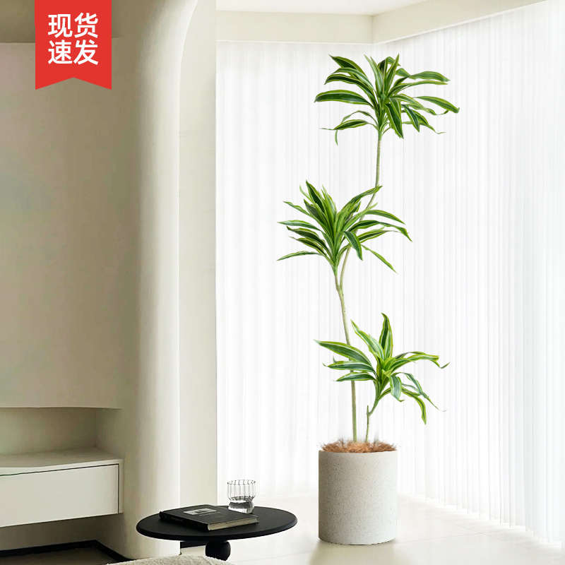 大型侘寂风客厅仿真绿植盆栽美人铁树假植物室内玄关落地装饰摆件