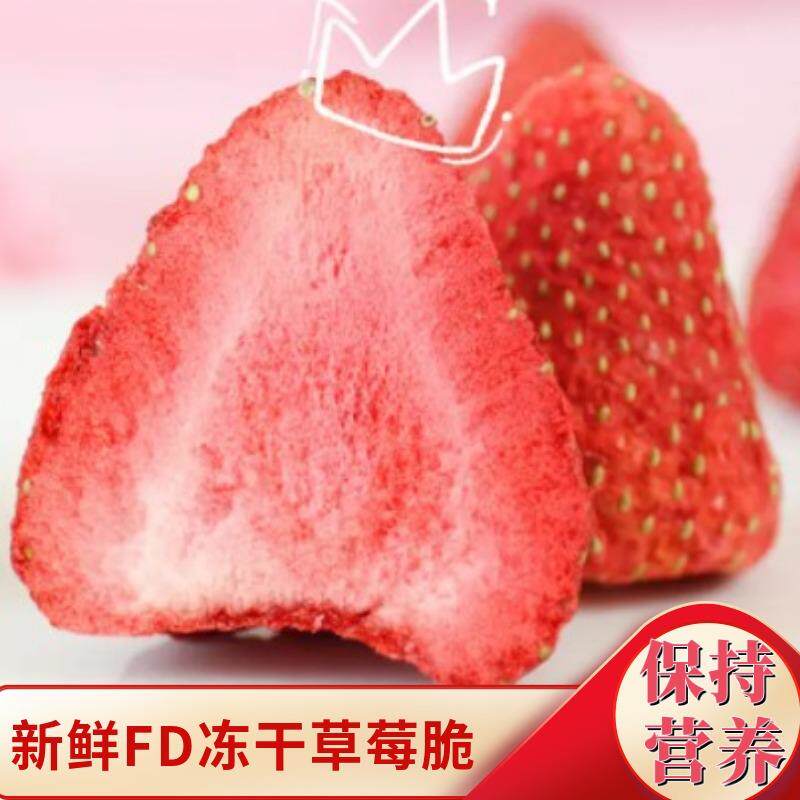 蓝莓草莓冷干燥机 冻干冻冻果粉蔬菜粉设备 莲榴JQC宠物粮真空干