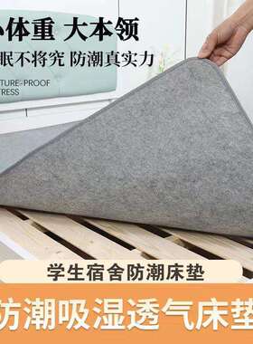 防潮床垫学生宿舍吸湿床垫加厚干燥被垫单人榻榻米毛毡垫