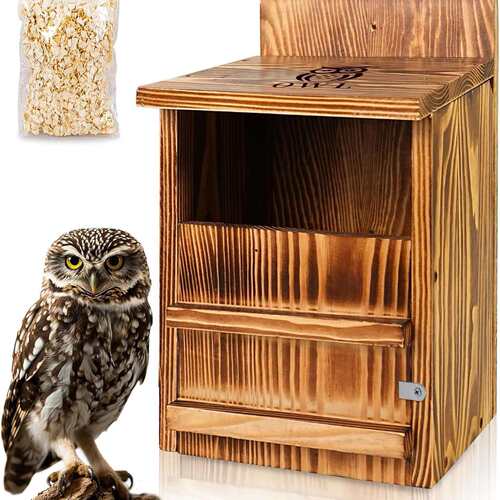 跨境亚马逊Screech Owl House手工制作的木制户外巢箱