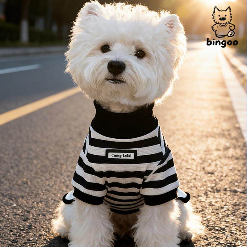bingoo宠物衣服春装条纹背心防掉毛泰迪西高地小型犬休闲ins服