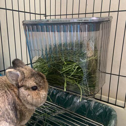 兔子家用防扒草草架 带盖防咬兔兔草架 防卡草悬挂式大容量适用荷