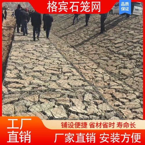 格宾网铅丝笼宾格网雷诺护垫固滨笼绿滨垫水利工程石笼网厂家定制