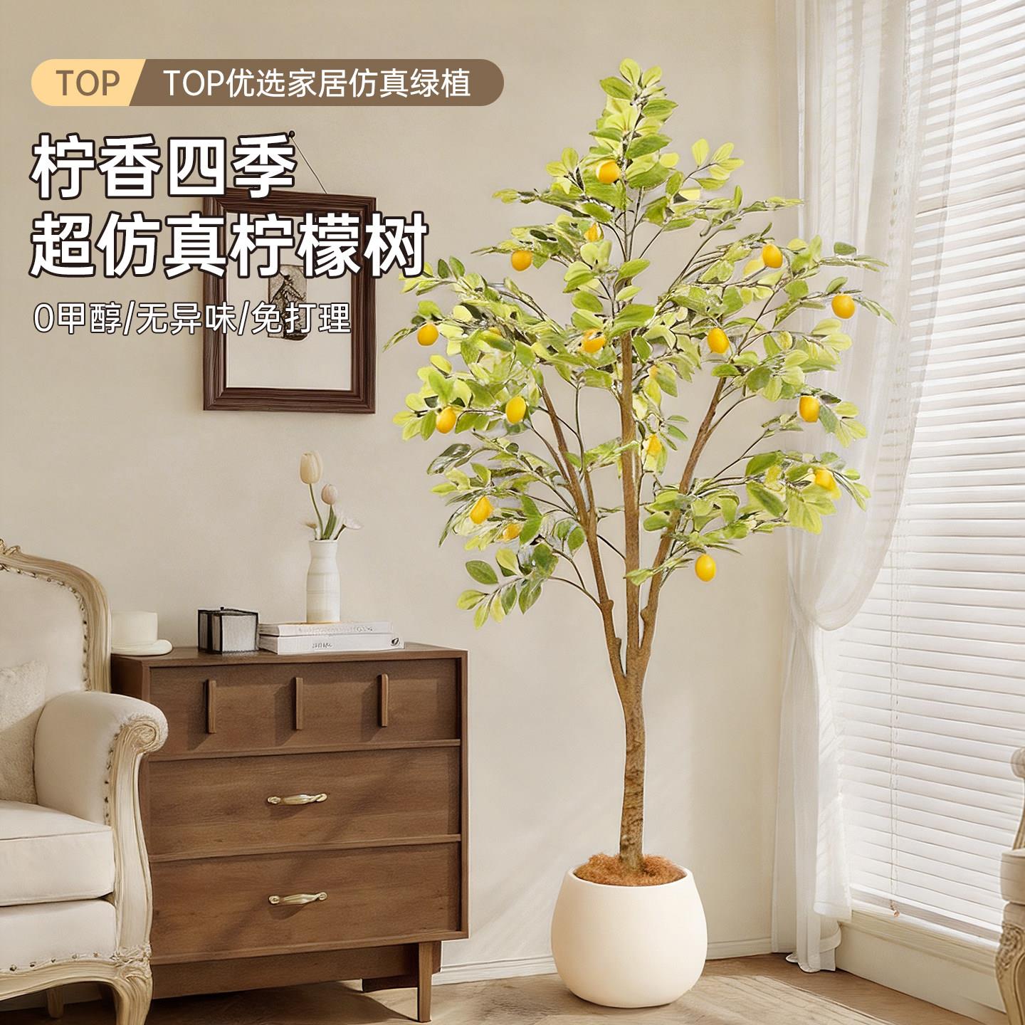 彷真绿色植物柠檬树客厅大型盆栽室内轻奢装饰花彷生植物落地摆件