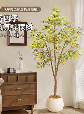彷真绿色植物柠檬树客厅大型盆栽室内轻奢装饰花彷生植物落地摆件
