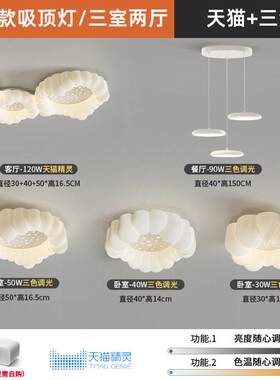 奶风极简客厅主灯2屋LRY023新款中油山吸顶灯智能护眼灯组具合全
