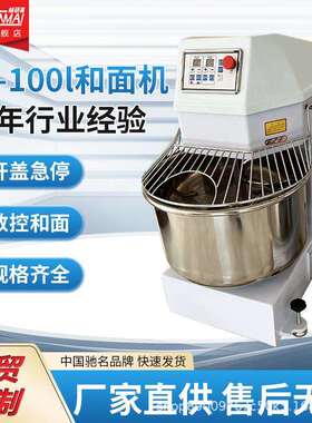 全自动和面机80100商用全不锈钢大容量大功率活面多功能搅拌机