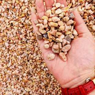 供应 五彩色水洗石 洗米石 彩色石米 透水石 胶粘石 水磨石子