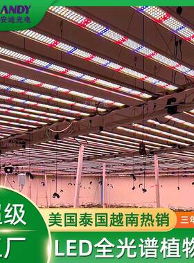 植物灯1000瓦4x6ft大棚growlights美国加拿大1米8植物生长补光灯