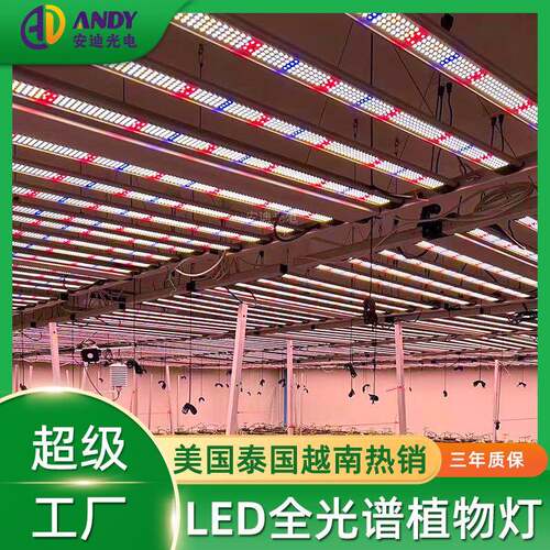 植物灯1000瓦4x6ft大棚growlights美国加拿大1米8植物生长补光灯