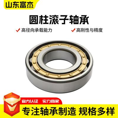 机械机床主轴承轧机用轴承 N1019EM厂家销售圆柱滚子轴承