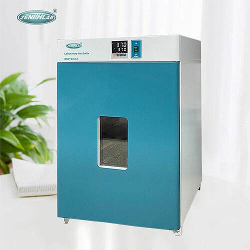 65℃培养箱DNP-900A电热恒温培养箱DNP-9052A不锈钢内胆培养箱