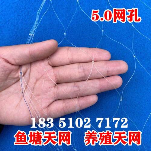 防鸟网草莓大棚果树樱桃葡萄梨树果园防鸟用网尼龙养殖网鱼塘天网