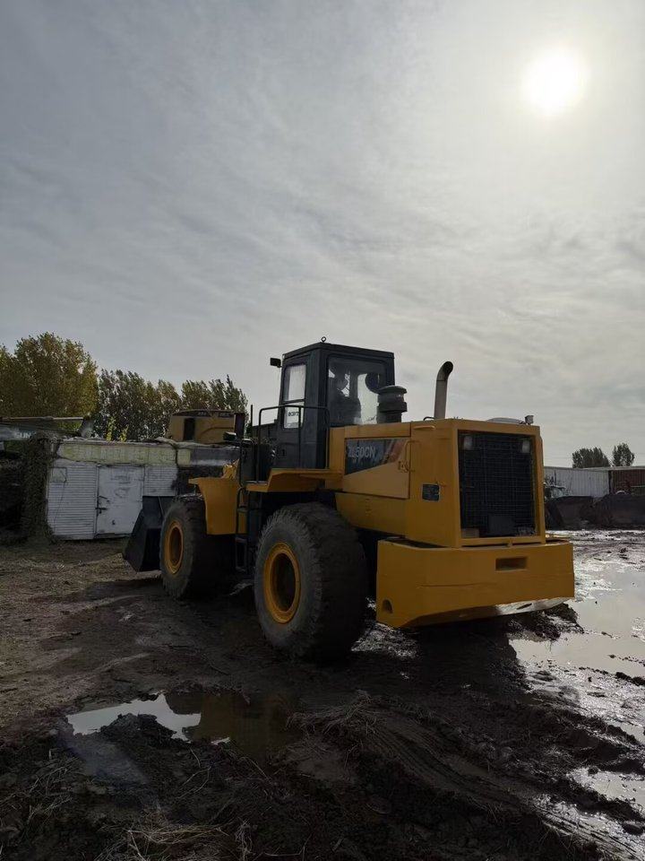 1月7日保定柳工50装载机网络拍卖公告