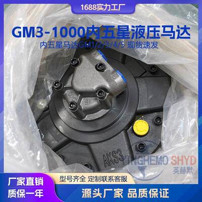 液压马达GM3-1000替代SAI内五星马达轧机绞车马达回转马达厂家