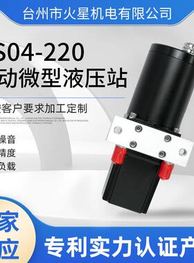 直供直流液压站小型液压动电动微型液压站防水船用液压站HS04-220