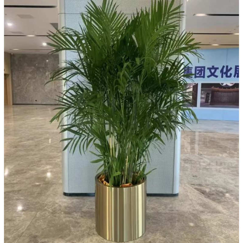 电镀拉丝不锈钢花盆花瓶商场落地大花器商场圆形镜面户外花槽花箱