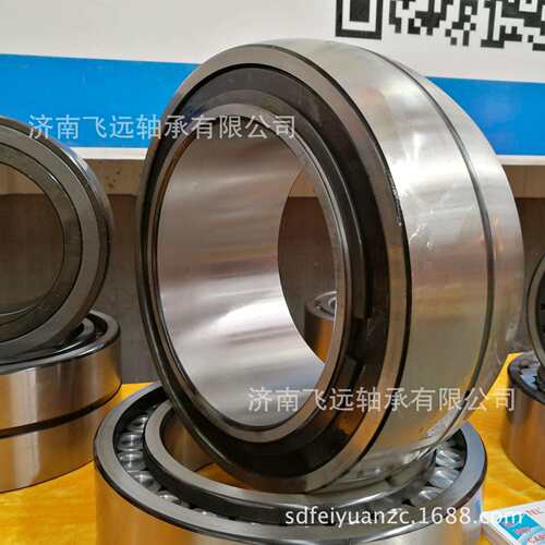 多列满装圆柱滚子轴承 定位游动轴承 SL11916 SL14922 SL06018E