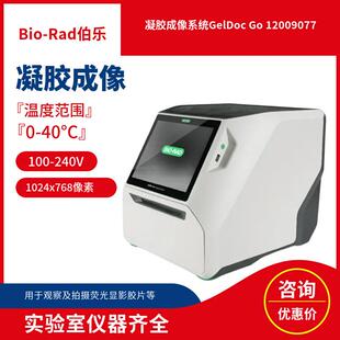 Rad伯乐凝胶成像系统GelDocGo12009077 Bio