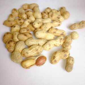 四川特产白味油米子五香花生小珍珠带壳炒货结婚生宴休闲零食小吃