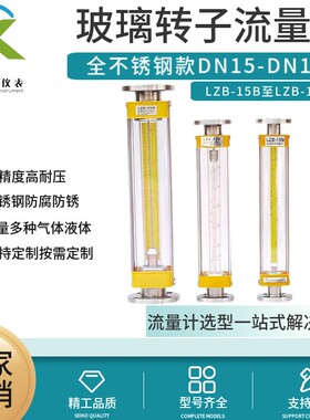 LZB-15B玻璃转子流量计LZB-25B/40B/50B/80B/100B不锈钢高精度