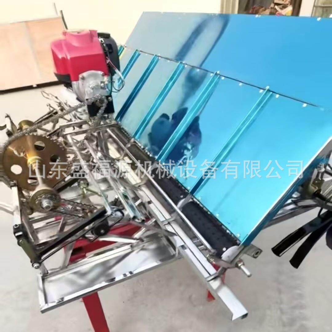 水稻插秧机手推步进式4行6行育秧盘秧苗电启动种植机水上漂