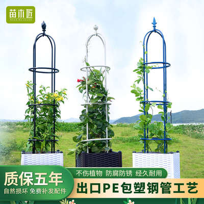 花架爬藤架子玫瑰月季铁线莲支架攀爬植物架阳台花架花盆支架杆子