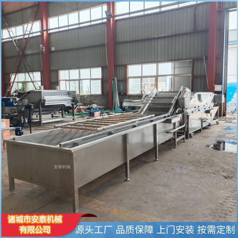 学校用蔬菜清洗设备杨梅清洗机中房用叶菜类清洗机厂家