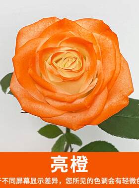 染色剂ml鲜花色剂批发花艺包装盒