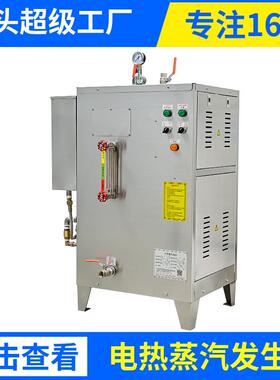 立式工业蒸汽锅炉小型24kw电加热蒸汽发生器全自动微型蒸汽机商用