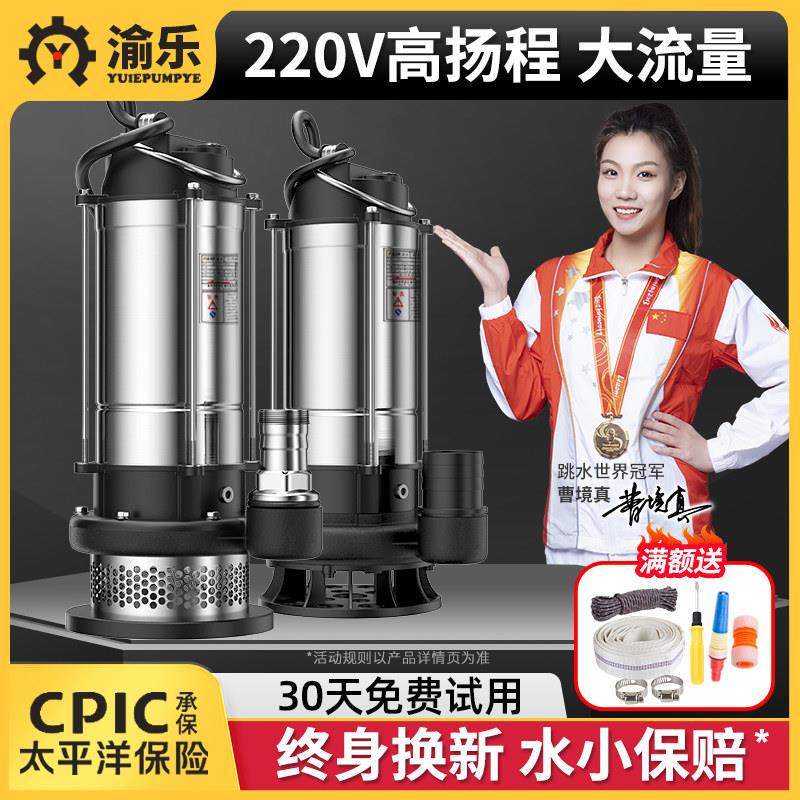 潜水泵220v小型不锈钢抽水泵家用抽清水机高扬程农用灌溉排污水泵