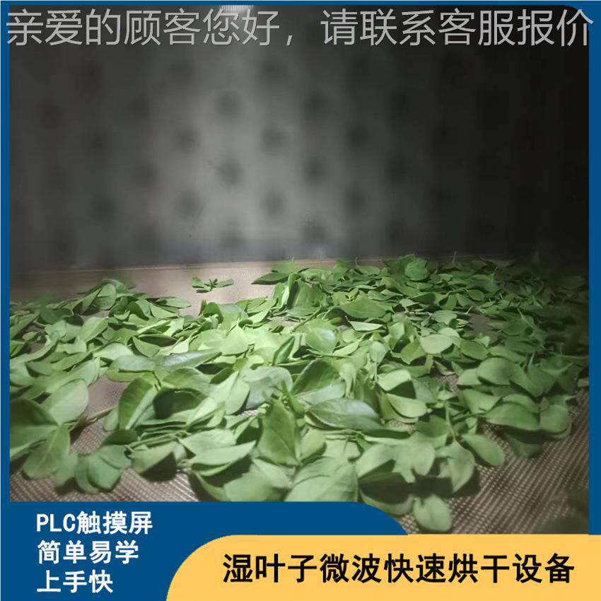 隧道式快桑树叶烘干设备干LM-30KW- 冬青叶 微波烘干设备湿叶子速