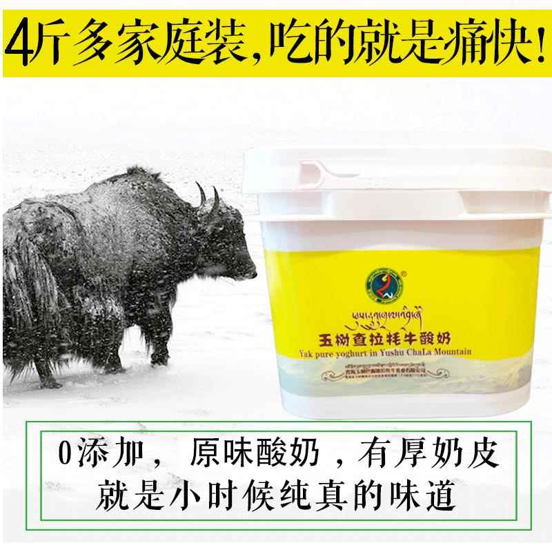 查拉牧业纯牦牛酸奶 青海特产0添加自制老酸奶酪原味健身素食早餐