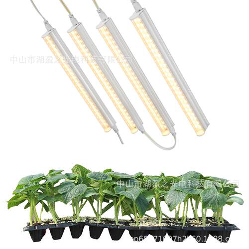 T5T8一体化LED植物生长灯管暖光粉光红蓝光多肉蔬菜植物补光灯