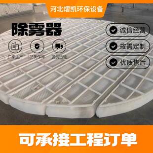pp除雾器玻璃钢C型S型脱硫塔喷淋塔PP折流板丝网不锈钢高效分离
