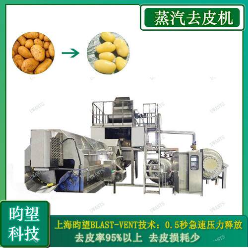 厂家直销土豆蒸汽去皮机  毛刷快速去皮设备  去皮干净不损伤食材